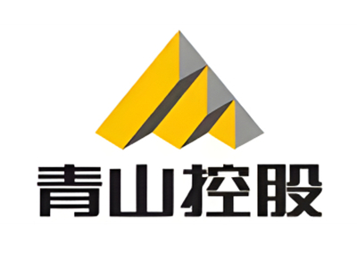 Qingshan Holdings